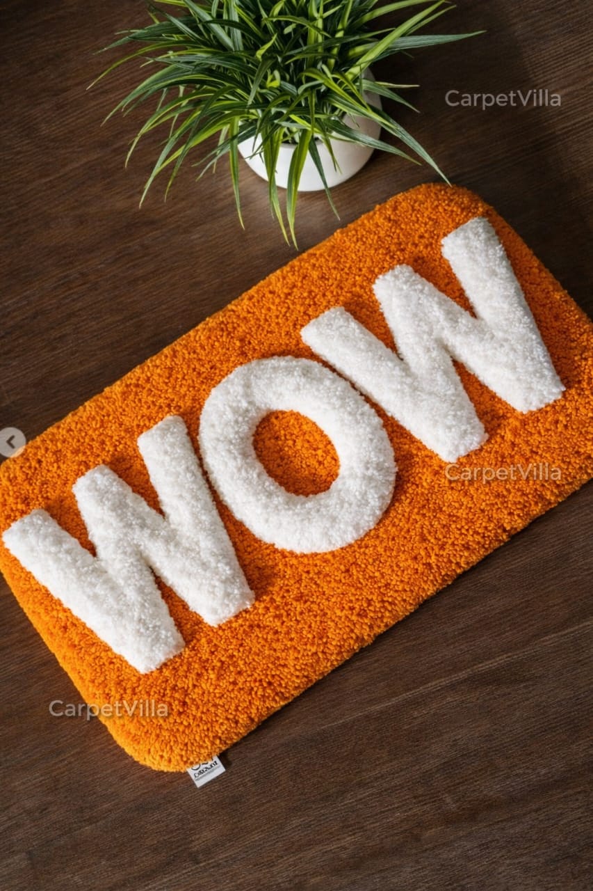 Stylish Entry Door Carpet