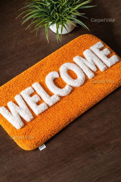 Stylish Entry Door Carpet